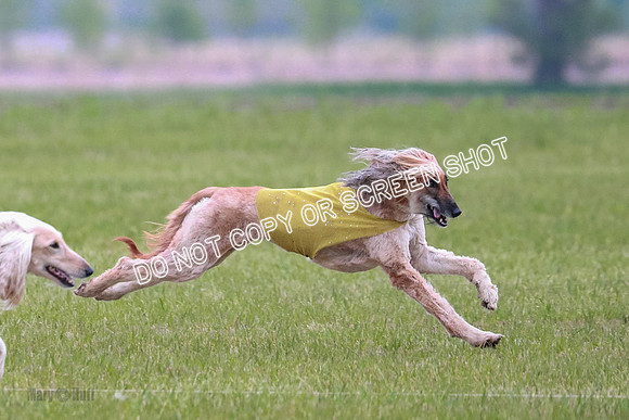 B Prelim Fch 2 Narcissa Feniq-0370