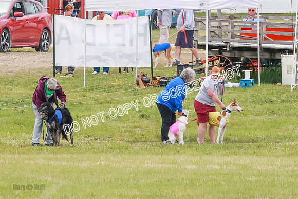 Course 2 Best in II Jadis Chyna Zip-4915