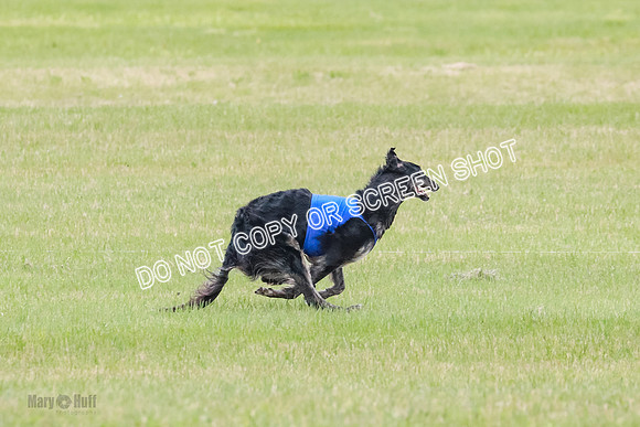 Course 2 Best in II Jadis Chyna Zip-4919-2