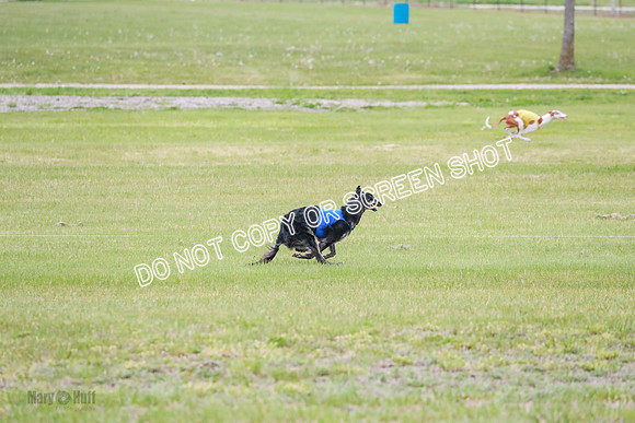 Course 2 Best in II Jadis Chyna Zip-4919