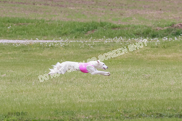 Course 2 Best in II Jadis Chyna Zip-4929