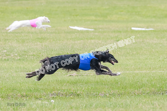Course 2 Best in II Jadis Chyna Zip-4924