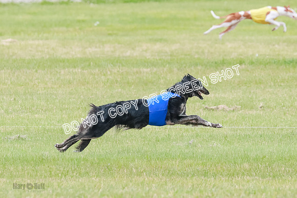 Course 2 Best in II Jadis Chyna Zip-4921