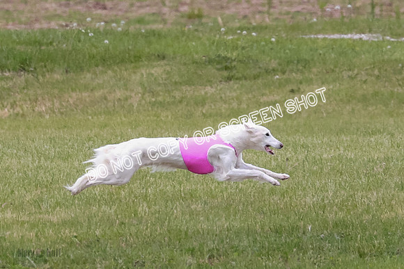 Course 2 Best in II Jadis Chyna Zip-4933