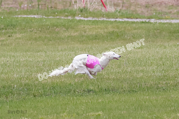 Course 2 Best in II Jadis Chyna Zip-4935