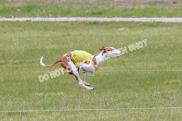 Course 2 Best in II Jadis Chyna Zip-4936