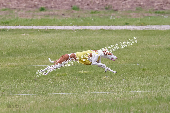 Course 2 Best in II Jadis Chyna Zip-4938