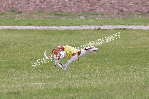 Course 2 Best in II Jadis Chyna Zip-4940
