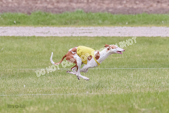 Course 2 Best in II Jadis Chyna Zip-4942