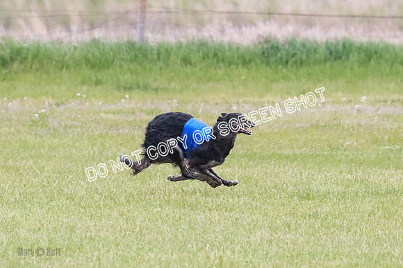 Course 2 Best in II Jadis Chyna Zip-4943