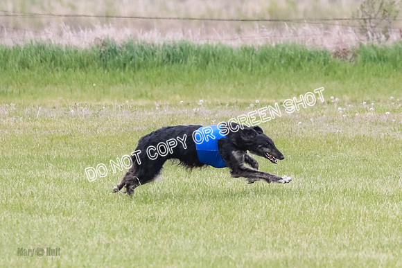 Course 2 Best in II Jadis Chyna Zip-4944