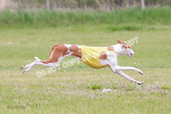 Course 2 Best in II Jadis Chyna Zip-4955
