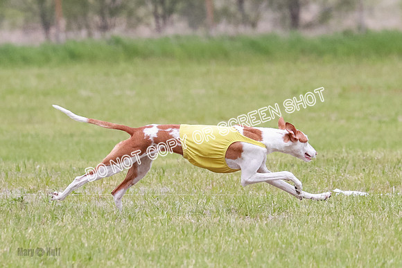 Course 2 Best in II Jadis Chyna Zip-4960