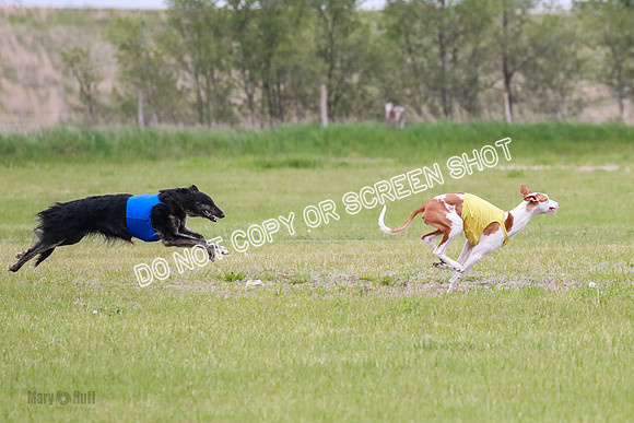 Course 2 Best in II Jadis Chyna Zip-4957
