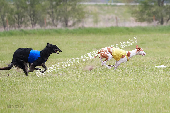 Course 2 Best in II Jadis Chyna Zip-4962