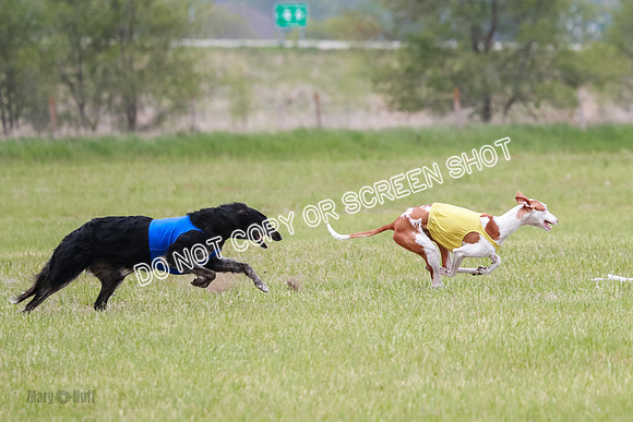 Course 2 Best in II Jadis Chyna Zip-4963