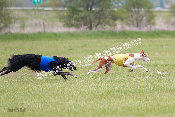 Course 2 Best in II Jadis Chyna Zip-4964