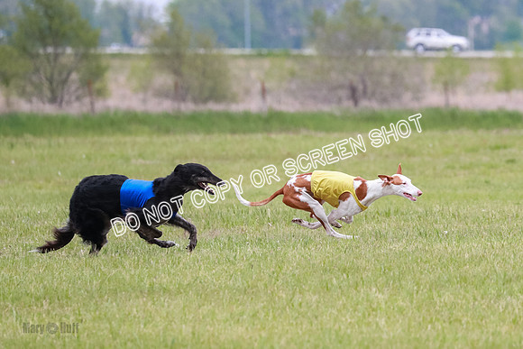 Course 2 Best in II Jadis Chyna Zip-4967