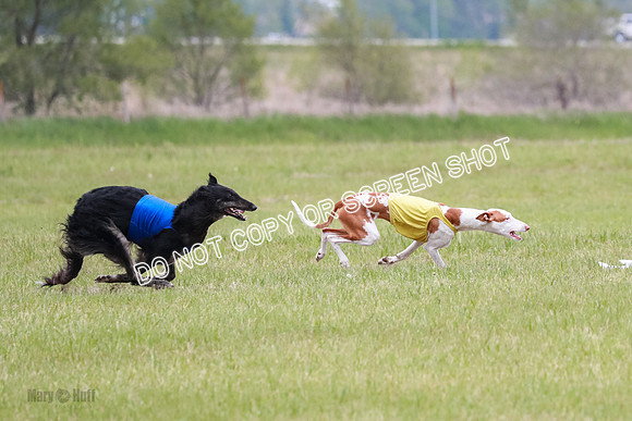 Course 2 Best in II Jadis Chyna Zip-4966