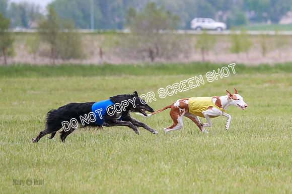 Course 2 Best in II Jadis Chyna Zip-4968