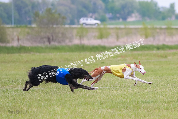 Course 2 Best in II Jadis Chyna Zip-4969