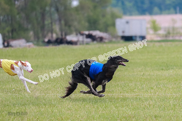 Course 2 Best in II Jadis Chyna Zip-4972