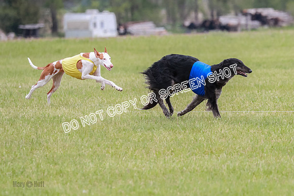 Course 2 Best in II Jadis Chyna Zip-4971