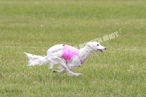 Course 2 Best in II Jadis Chyna Zip-4974