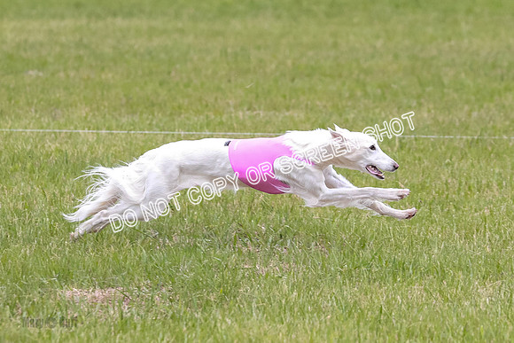 Course 2 Best in II Jadis Chyna Zip-4976