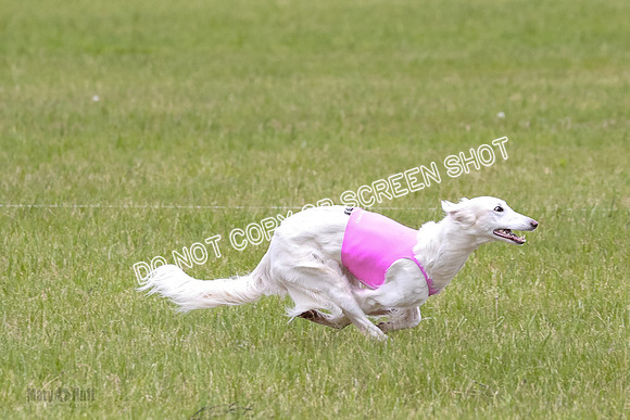 Course 2 Best in II Jadis Chyna Zip-4978