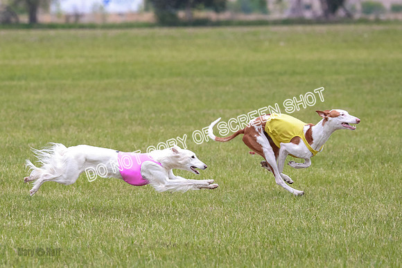 Course 2 Best in II Jadis Chyna Zip-4981