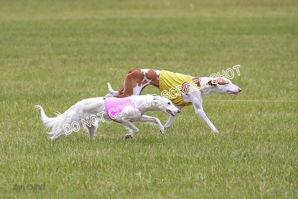 Course 2 Best in II Jadis Chyna Zip-4984