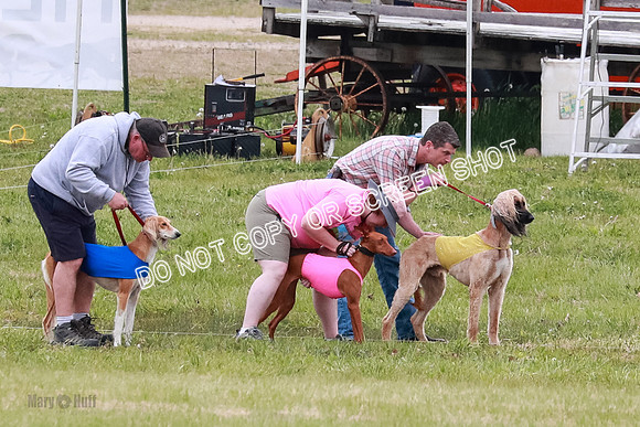 Course 3 Best in II Ingvar Lucy Jasmine-5013