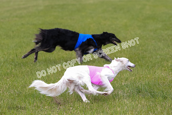 Course 2 Best in II Jadis Chyna Zip-4998