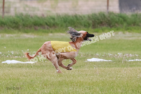 Course 3 Best in II Ingvar Lucy Jasmine-5017