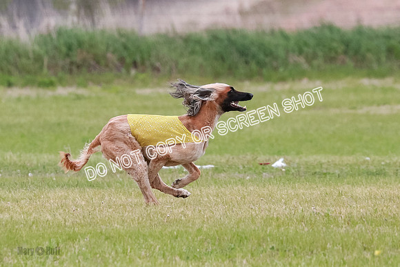 Course 3 Best in II Ingvar Lucy Jasmine-5022