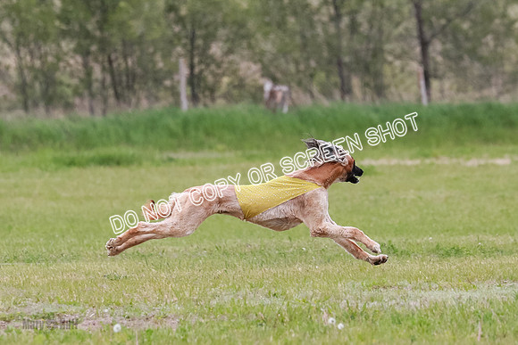 Course 3 Best in II Ingvar Lucy Jasmine-5024