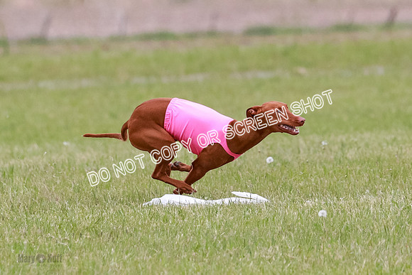 Course 3 Best in II Ingvar Lucy Jasmine-5043