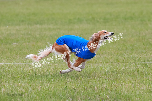 Course 3 Best in II Ingvar Lucy Jasmine-5052