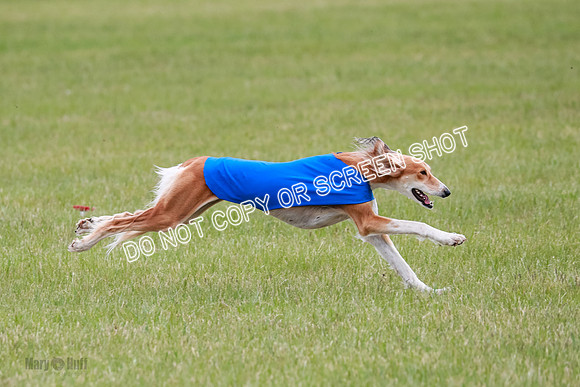 Course 3 Best in II Ingvar Lucy Jasmine-5058