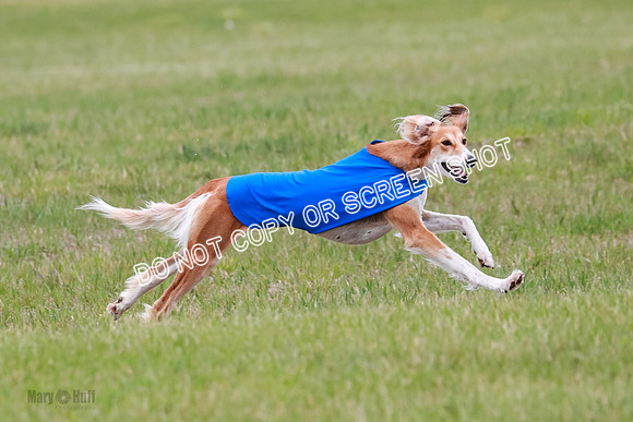 Course 3 Best in II Ingvar Lucy Jasmine-5072