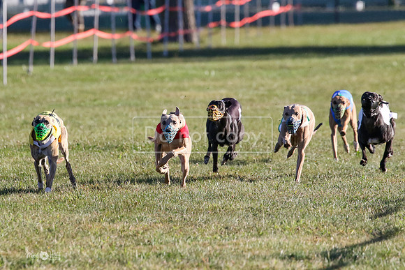MCH73404  Jobim, Merida, Pi, Curlin, Pogue, Cider