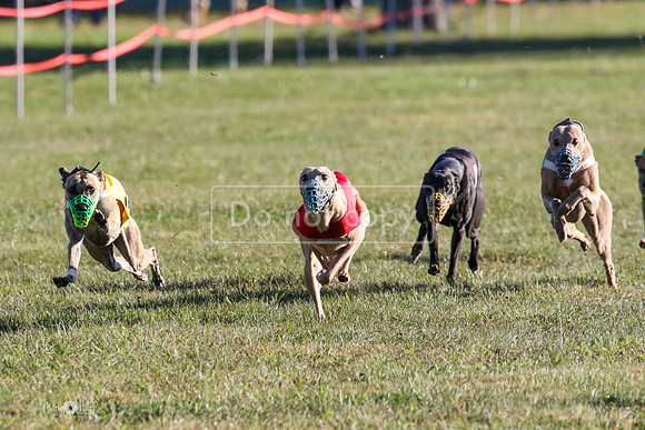 MCH73406  Jobim, Merida, Pi, Curlin, Pogue, Cider