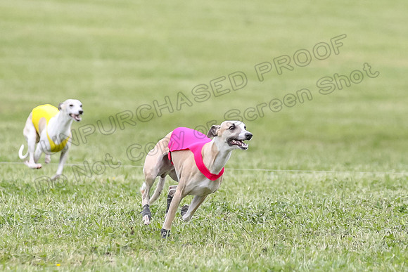 Finals Open C5, Mizuno Charlie Arlo-0791