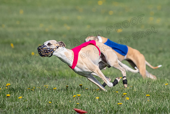 1Prelims Open E4 Dot Charlie Sable-0845