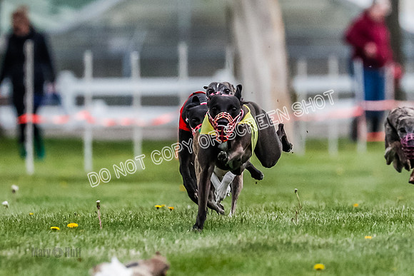 WRA, Prg 1, Race 4, Cassie Duesenberg Warrior Muchu Jasmine-8294