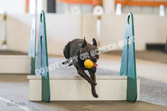 AE4I7028