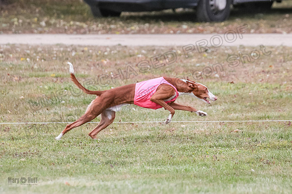 1 Prelims Fch 2 Madyson Maverick-5817