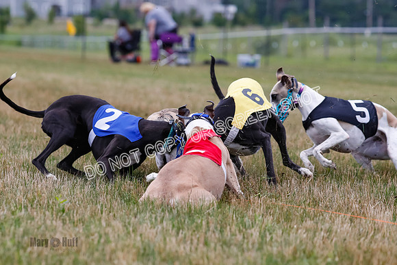 Prg 3, Race 4, Rowan-Jett-Blaze-Shimmy-Bogie-1150