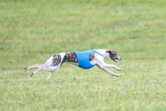 Prelim Open F5, Brinca Laila Storm-9404